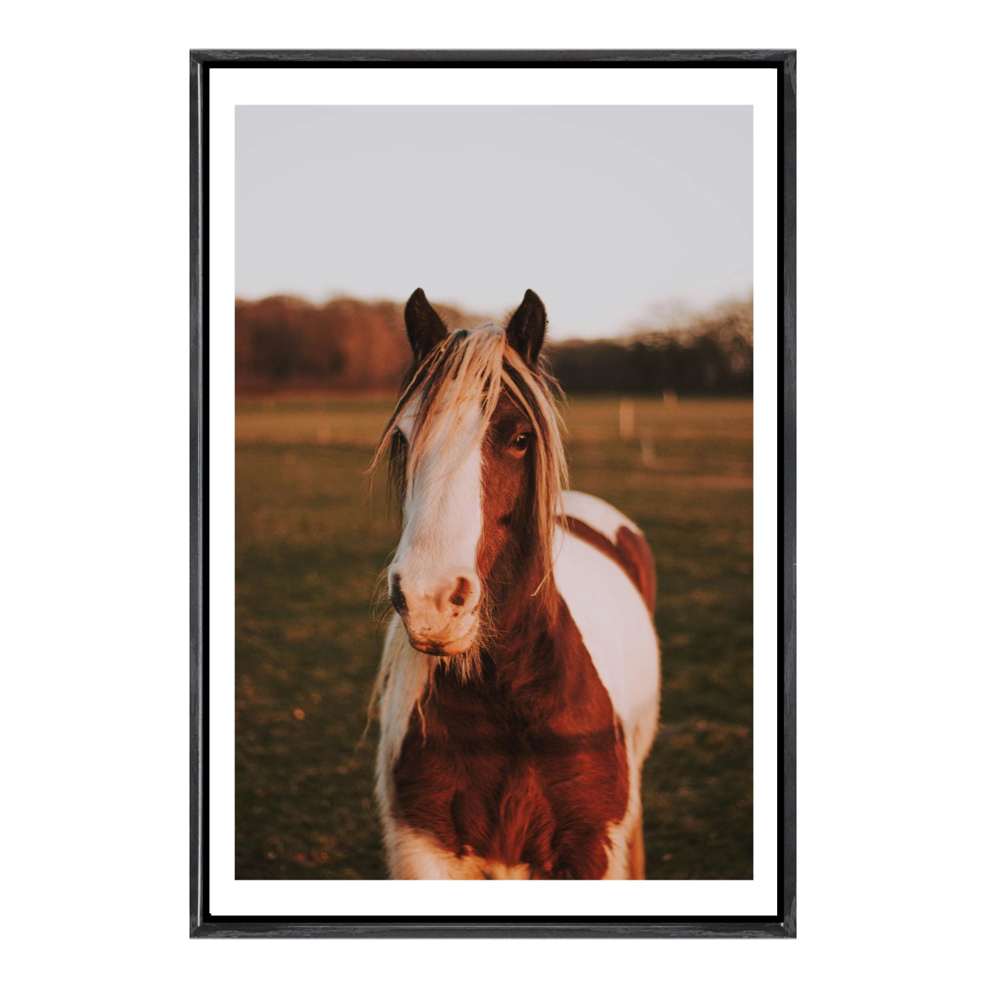 Home Decor Mirror - Cowboy Horse Canvas Framed Wall Art