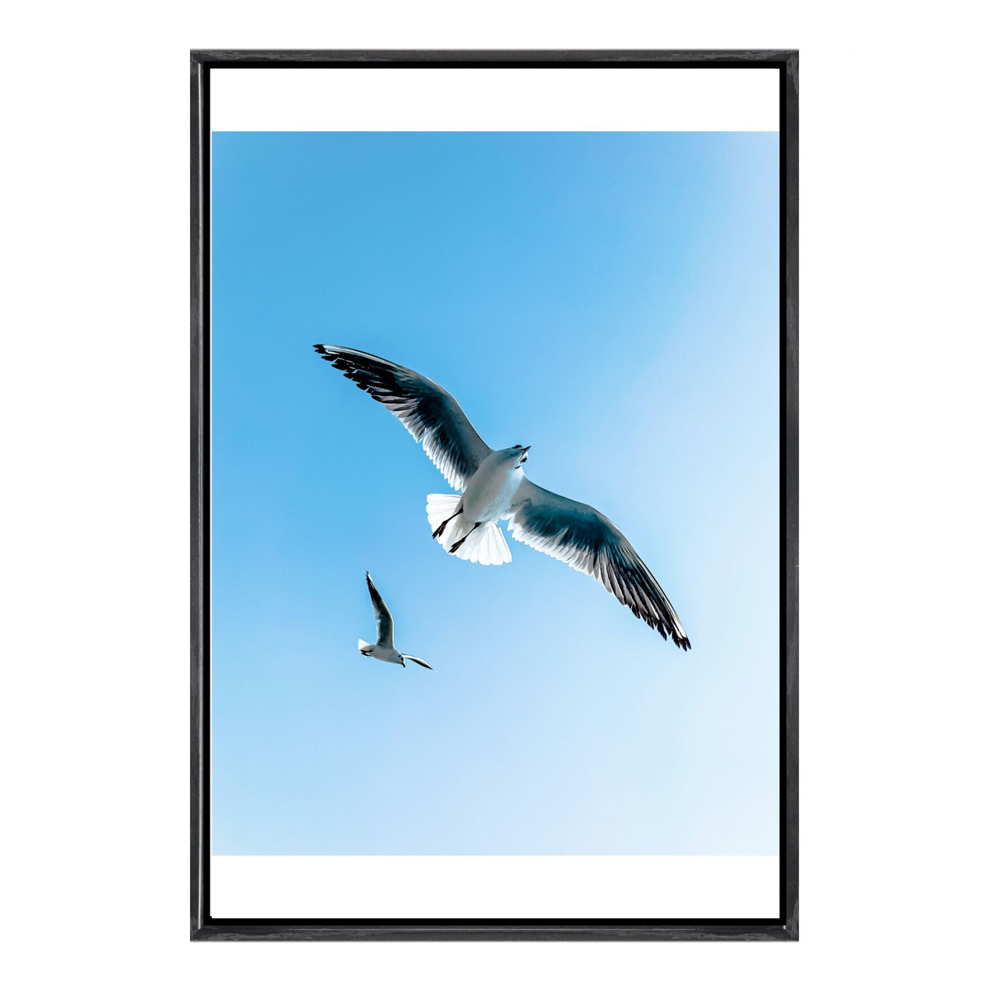Seagull Canvas Framed Wall Art - مراجعة Home Decor Mirror وسعره