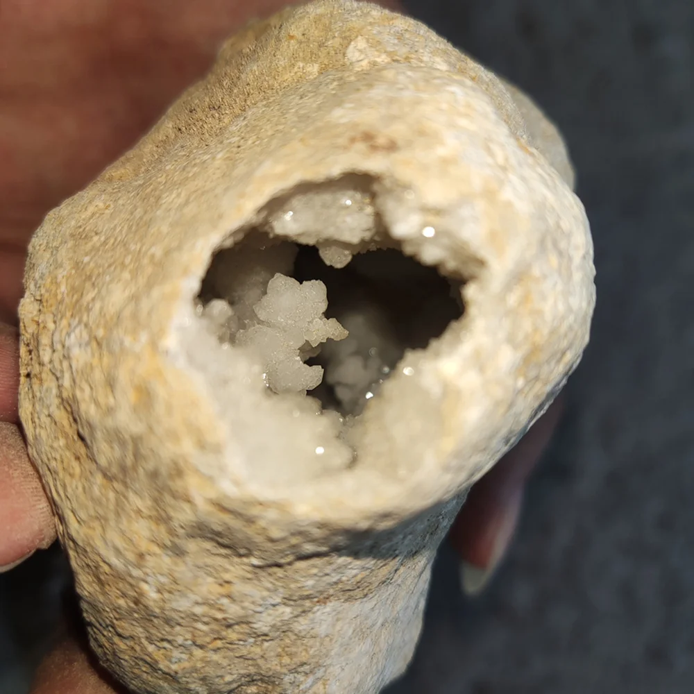 Unopened Natural Agate Geode R - مراجعة Home Decor Modern Organic وسعره