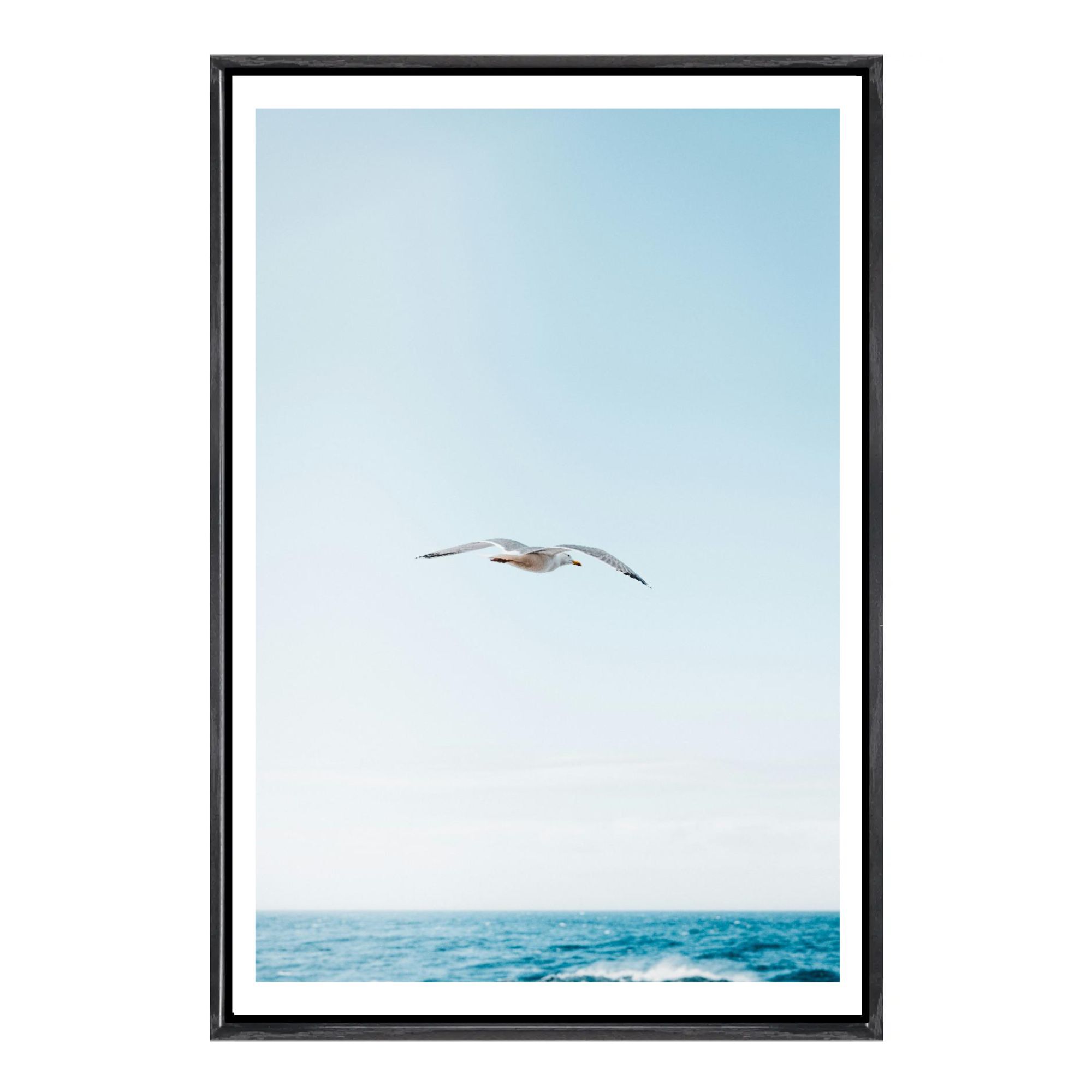 Seagull Canvas Framed Wall Art - مراجعة Home Decor Mirror وسعره