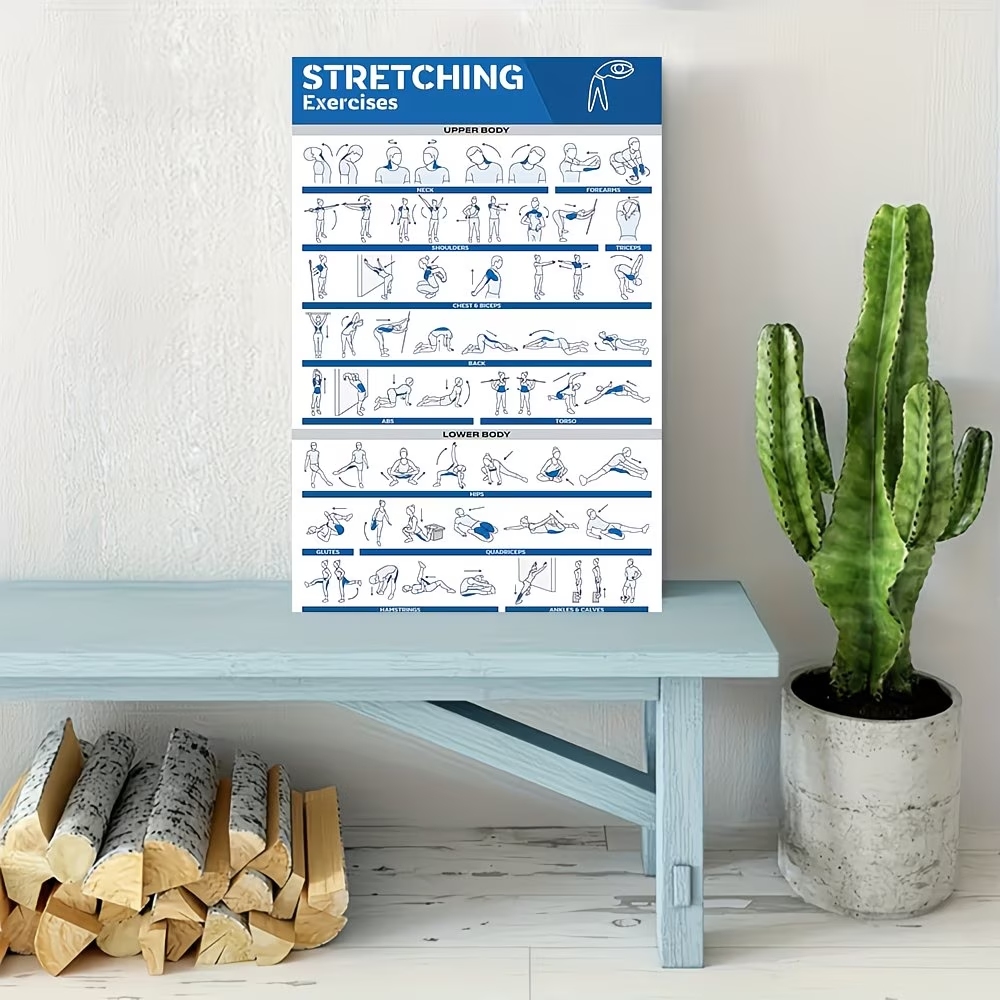 Modern Labeled Full-Body Stret - مراجعة Home Decor Mod وسعره