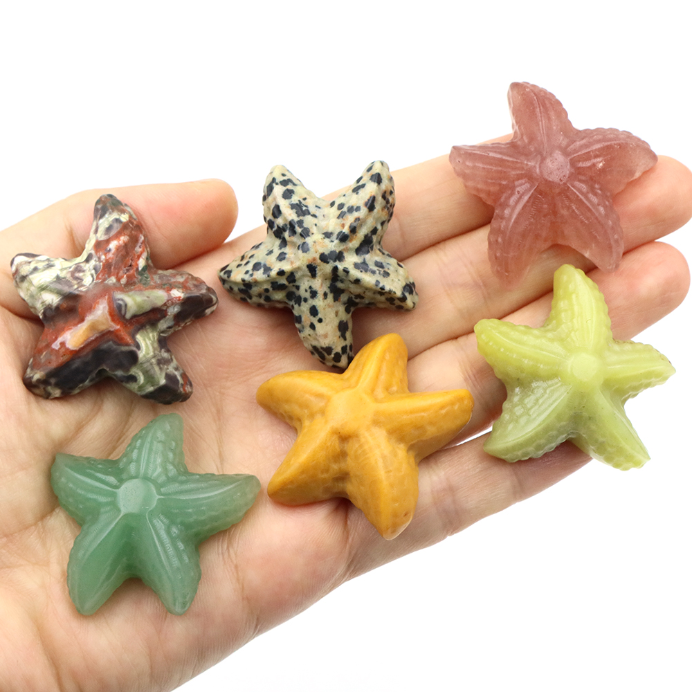 35mm Starfish Shape Statue Mar - مراجعة Home Decor Mod وسعره