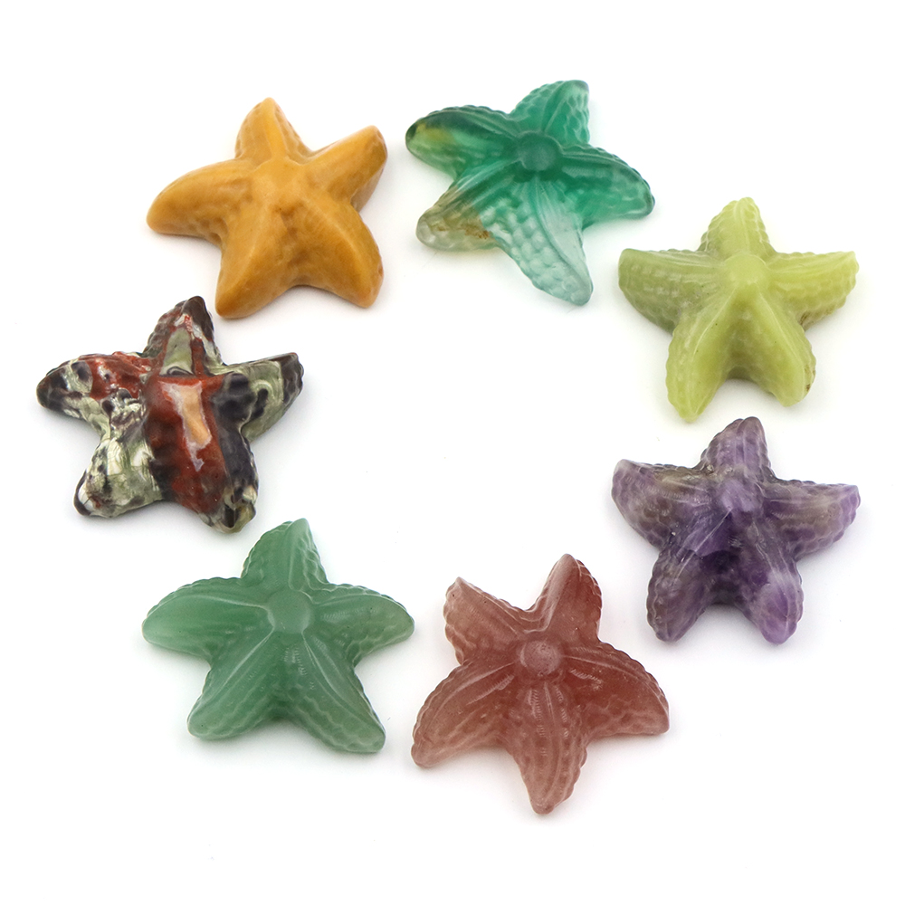 35mm Starfish Shape Statue Mar - مراجعة Home Decor Mod وسعره