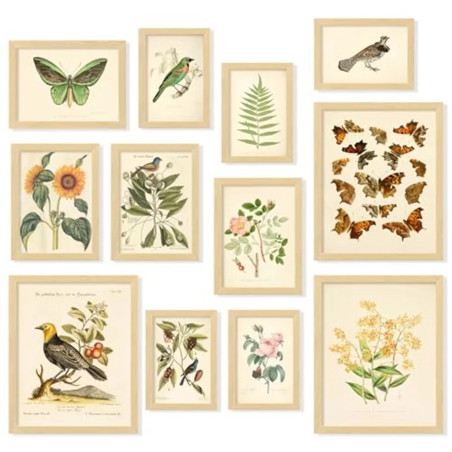 Vintage botanical prints wall  - مراجعة Home Decor Wallpaper وسعره