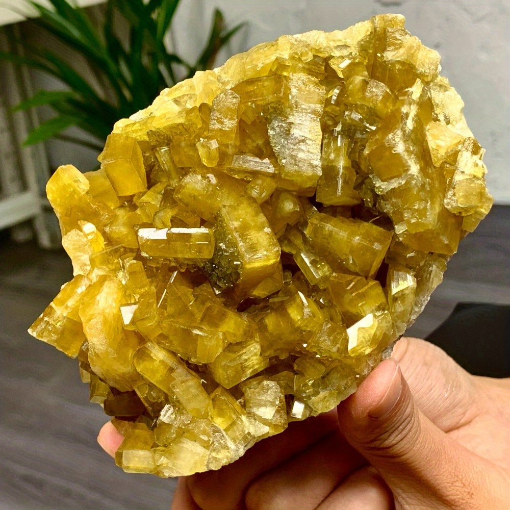 Rare Golden Barite Crystal Clu - مراجعة Home Decor Modern Organic وسعره